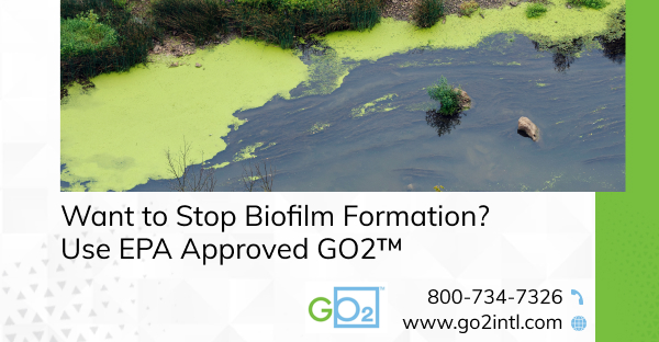 biofilm production in Buena Park