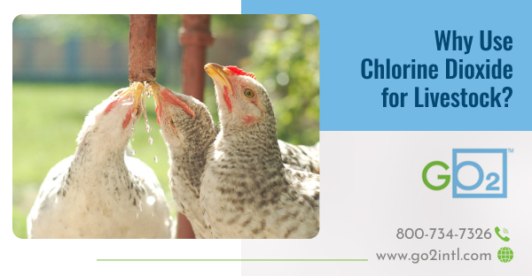 chlorine dioxide in USA